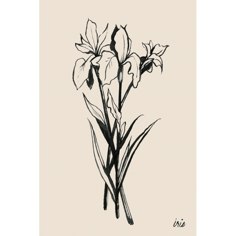 Iris II by Grace Popp - Painting, 30cm H x 20cm W, Wrapped Canvas