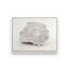 «Vintage Conch Shells I» par Jennifer Rigsby, reproduction d'art-1089215291-1089215270-1089215277