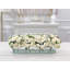 Roses Arrangement in Vase