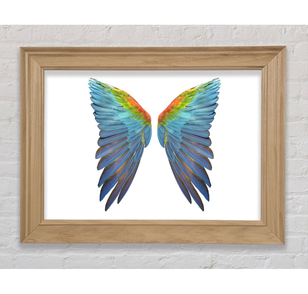 Papagei Vibrant Wings - Druck