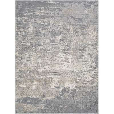 Aderyn Abstract Indoor Rug