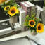 11,8 Plante