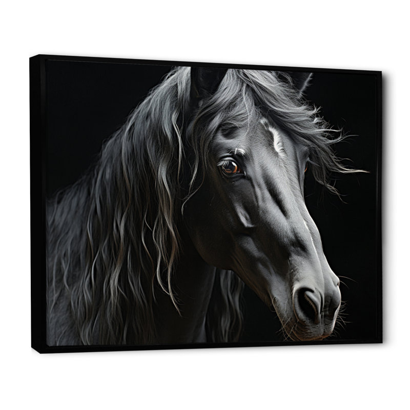 Black White Horse Portrait - Animals Canvas Prints, H 34 po x l 44 po x P 1,5 po, Cadre flottant noir