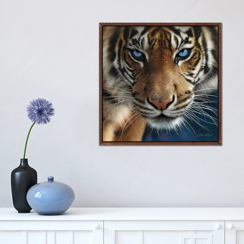 Tiger - Blue Eyes by Collin Bogle - Print on Canvas, Classic Brown Wood Framed Canvas, 45.72 cm H x 45.72 cm W