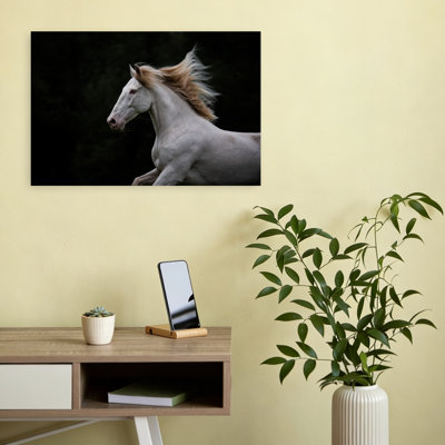 Art mural majestueux avec cheval blanc contemporain majestueux