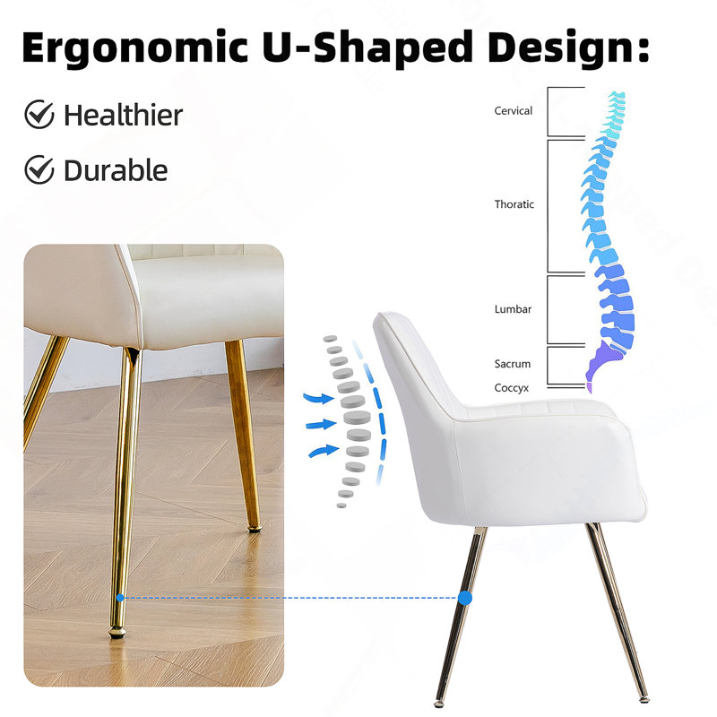 Faux Leather Dining Chair Set of 2 - Modern Mid-Back Accent Chairs with Gold Plating Legs - Upholstered Living Room Chairs (White, Set of 2)