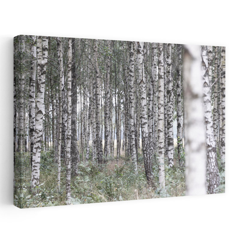 Art contemporain contemporain, paysage de forêt de bouleaux, H 24 po x l 36 po