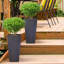 Plant Pot-788838802-795294483