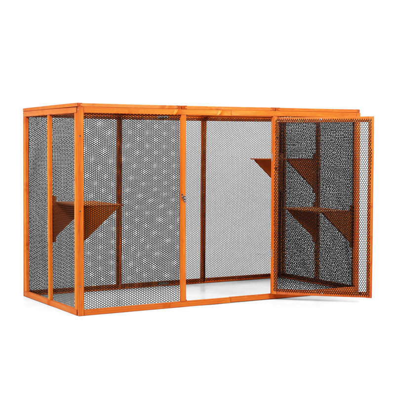 Chat orange détachable avec couvercle imperméable et plateformes énergiques sur le toit 3 taches de saut -