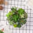 Aniecia Indoor Ceramic Flower Pot Planter