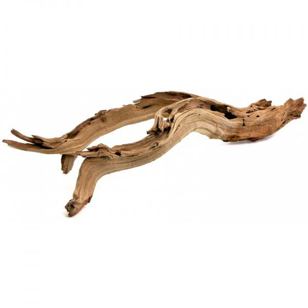 Sculpture décorative naturelle Adolfa, l 12 po