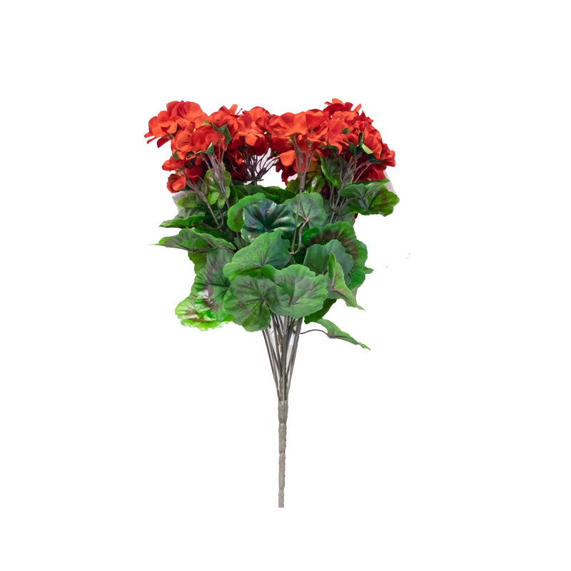 Tige de géranium, Rouge