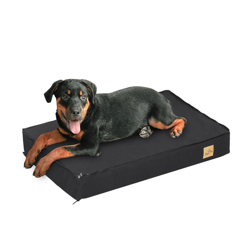 Orthopedic Pet Bed, 8cm H x 58cm W x 45cm D