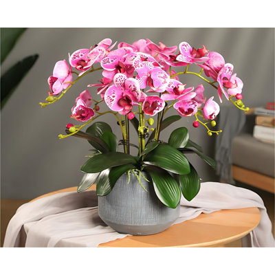 Nouvel arrangement floral d'orchidée papillon en pot
