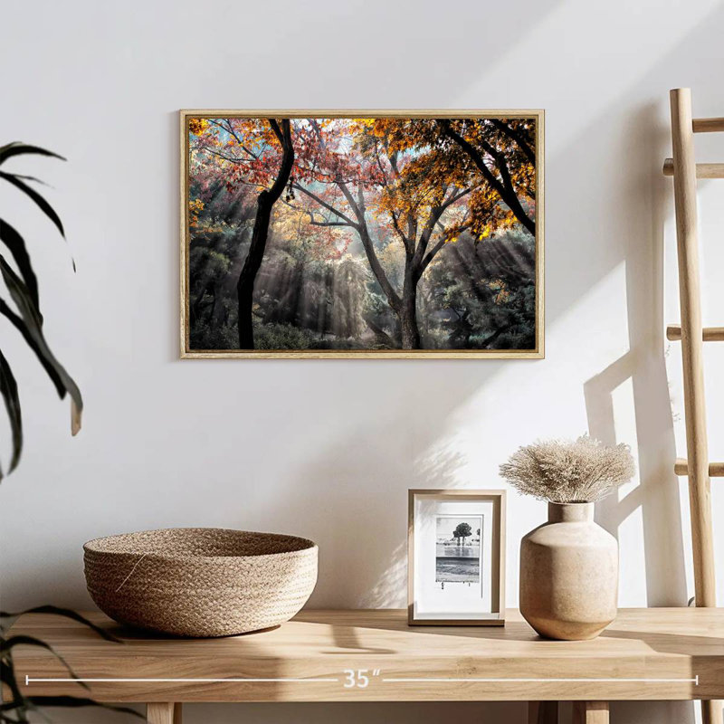 Rayons de soleil de la forêt, Cadre flottant en bois naturel, 19 po x 13 po
