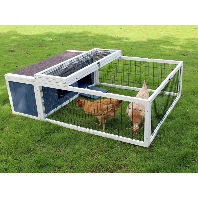 Cage pour petits animaux Frido, Bleu / blanc