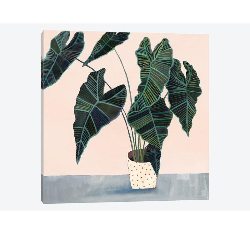 Victoria Borges - Wrapped Canvas Print, 66.04 cm H x 66.04 cm W x 3.175 cm D