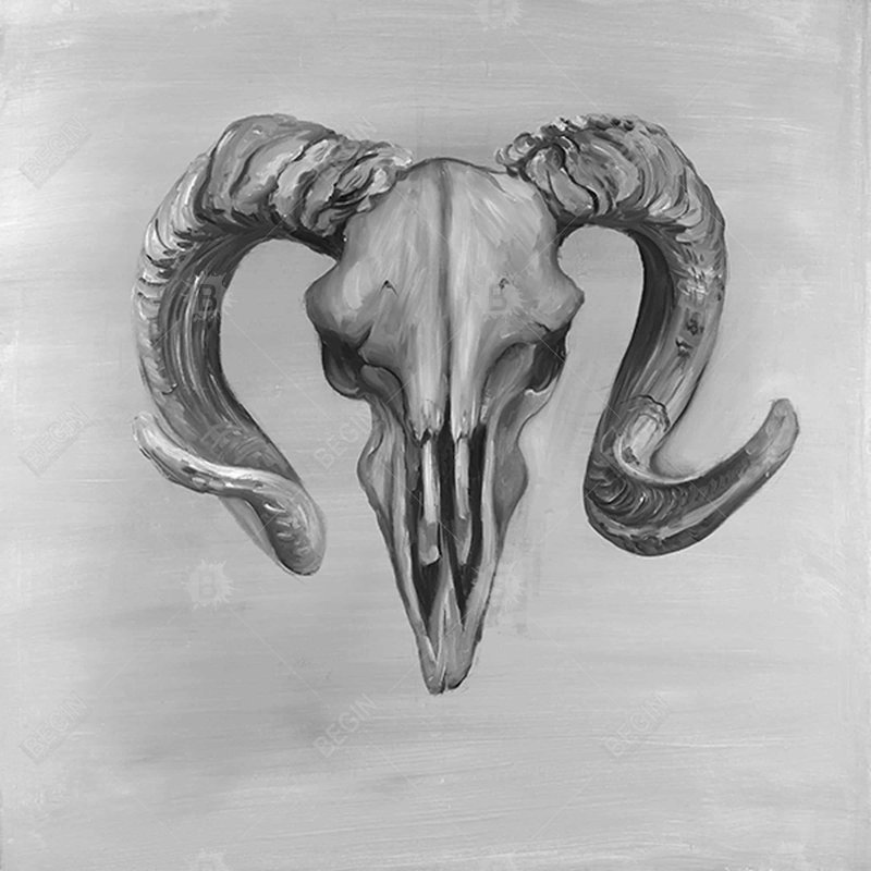" Grayscale Aries Skull "
