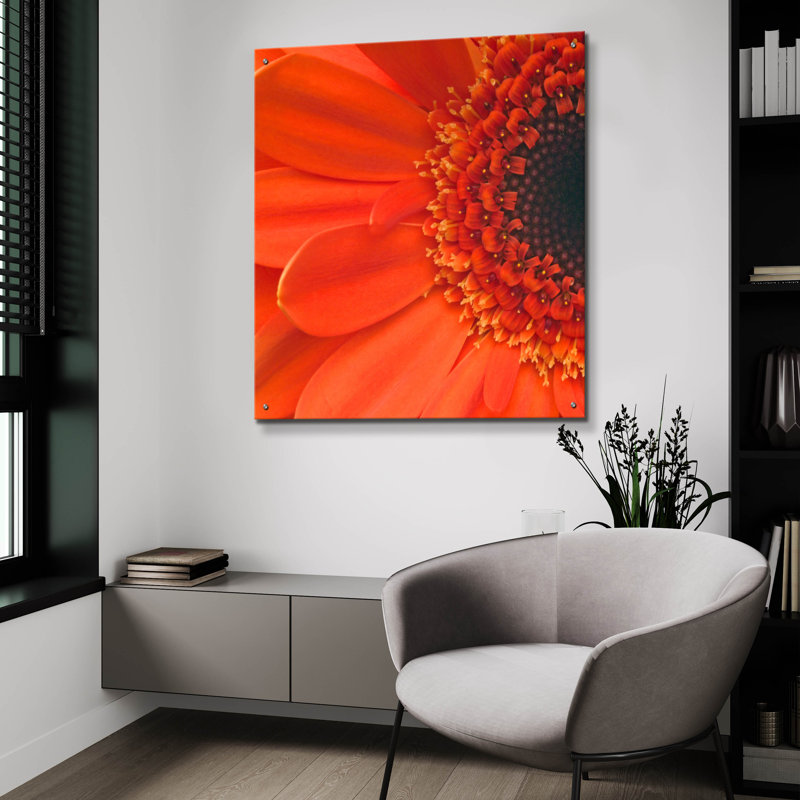 Epic Art «Orange Gerbera Close Up» par Tom Quarterm «Orange Gerbera Close Up» par Tom Quartermaine