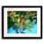 Black Framed Paper is unavailable