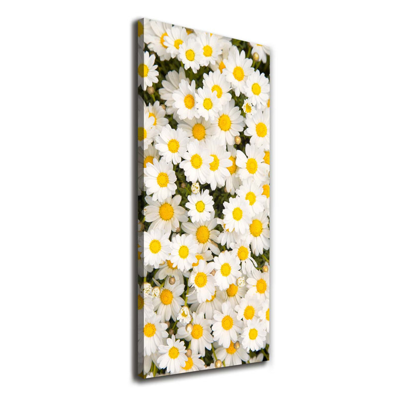 Daisy Flowers - Wrapped Canvas Print