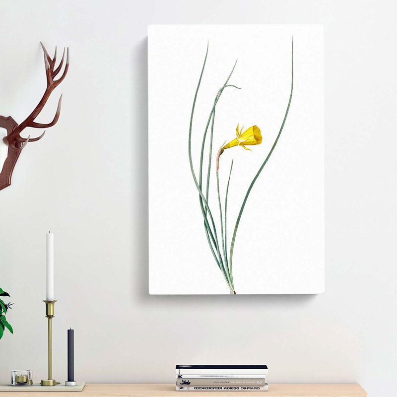Daffodil by Harunobu Suzuki - Wrapped Canvas Painting, 76cm H x 50cm W x 3cm D