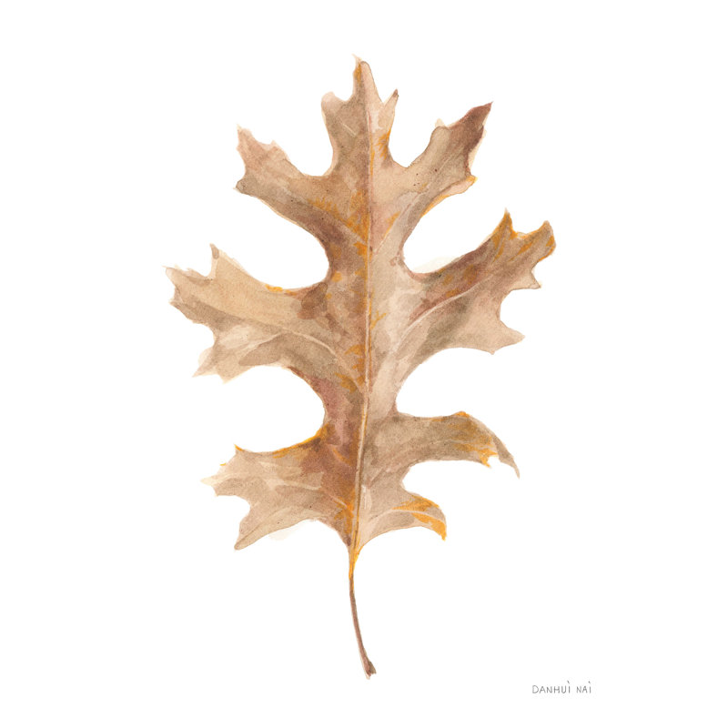 «Fallen Leaf I Crop» par Danhui Nai - reproduction d'art sur toile tendue, H 16 po x l 12 po