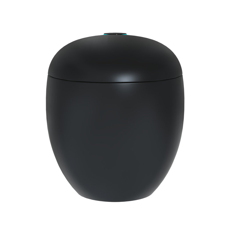 Smart Toilet with Built-in Water Tank, Auto Lid, Foot Sensor Flush, Heated Seat, Warm Air Dryer & Bidet Wash, Black