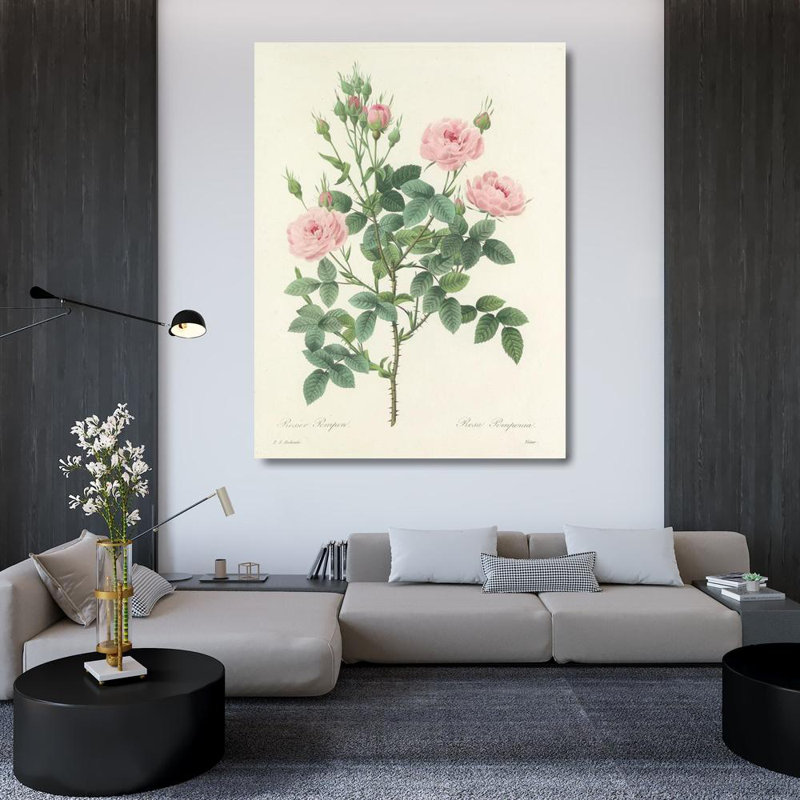 «Choice of the Beautiful Beautiful Pl 101» par Pierre Joseph Redouté - Art mural sur toile tendue avec châssis