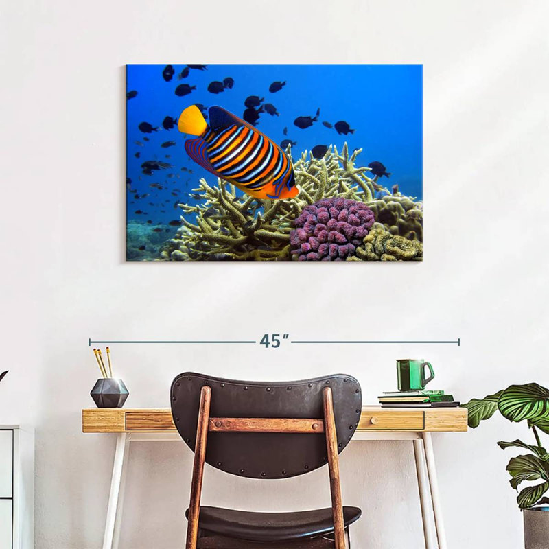 Brampt Royal Angelfish, 24" H x 36" W