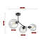 Vann Glass Spotlight