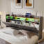 Upholstered Bed-354622437-354622443