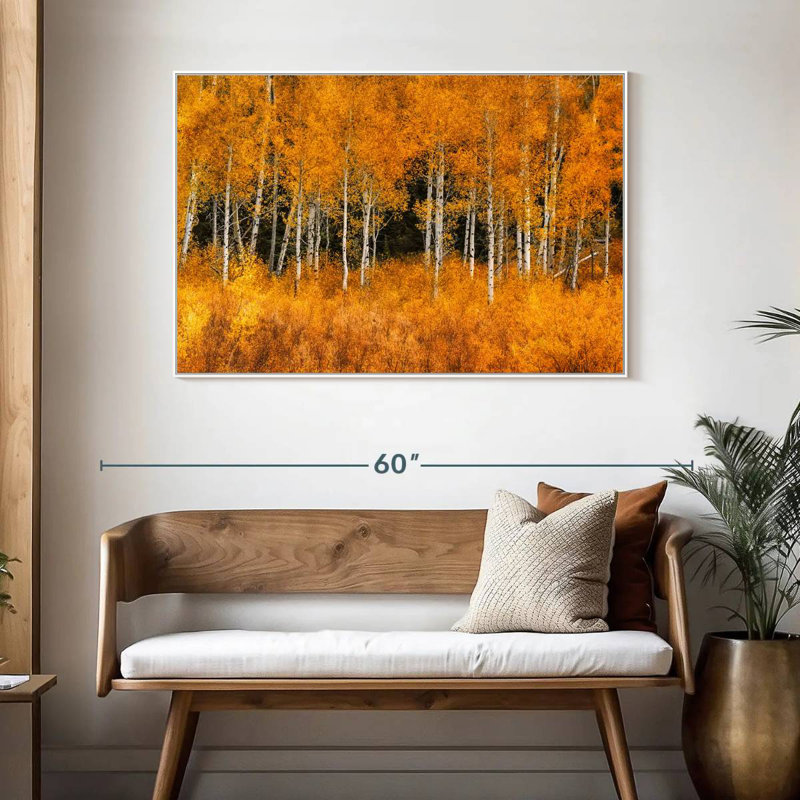 Grand Teton Aspen Trees, 46 po x 31 po, Cadre flottant blanc