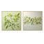 «Green Ferm Simple Collage» - ensemble de 2 feuilles carrées-524083648-524083651