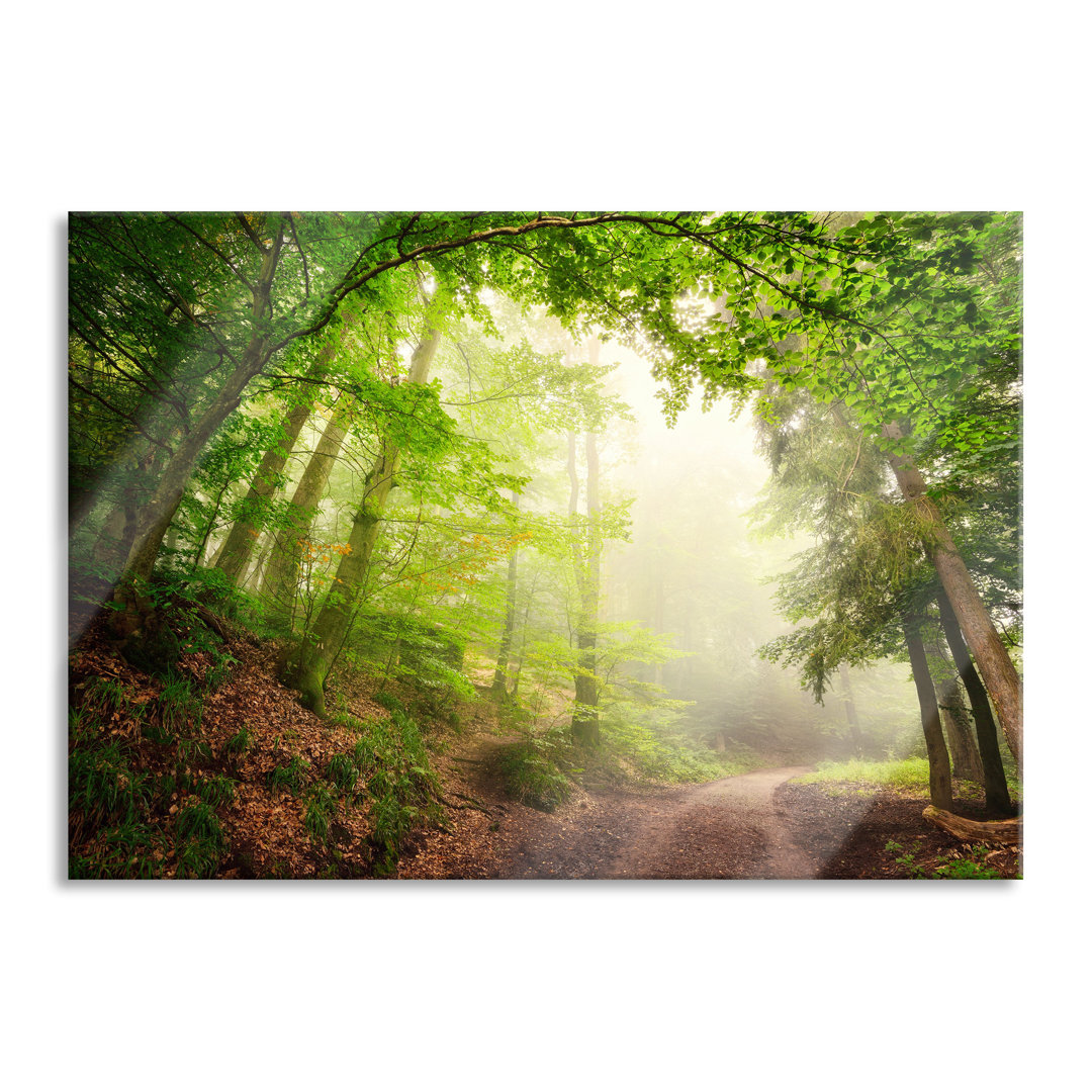 Glasbild Sunbeams Forest Path