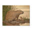 Beaver Lake Scene In Summer II - Art mural moderne en bois sur bois de pin naturel-258548749
