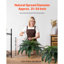 Faux Fern Plant-6104196
