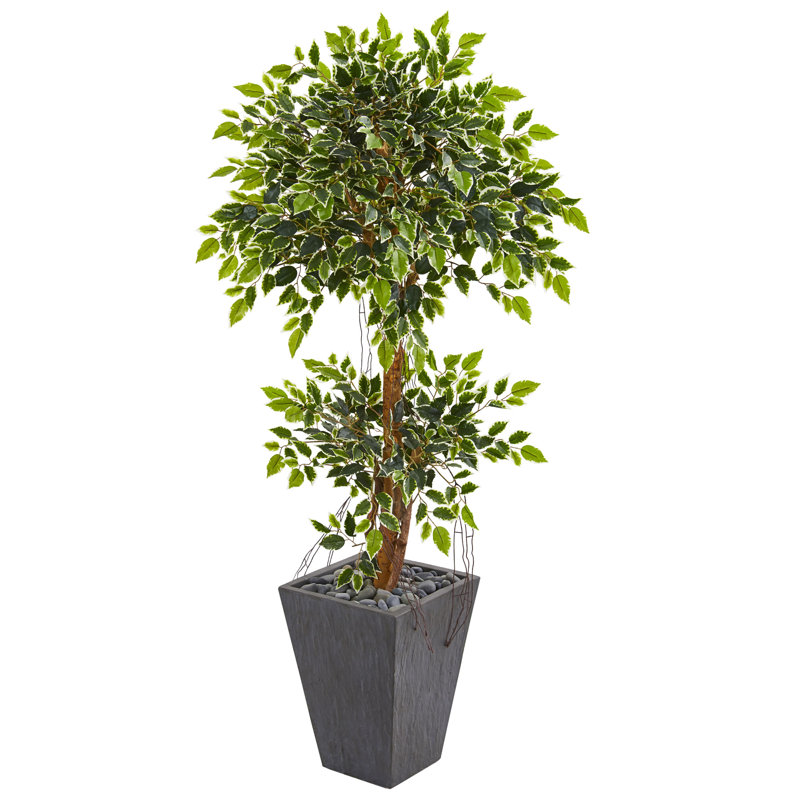 60'' Faux Ficus Tree in Stone Planter