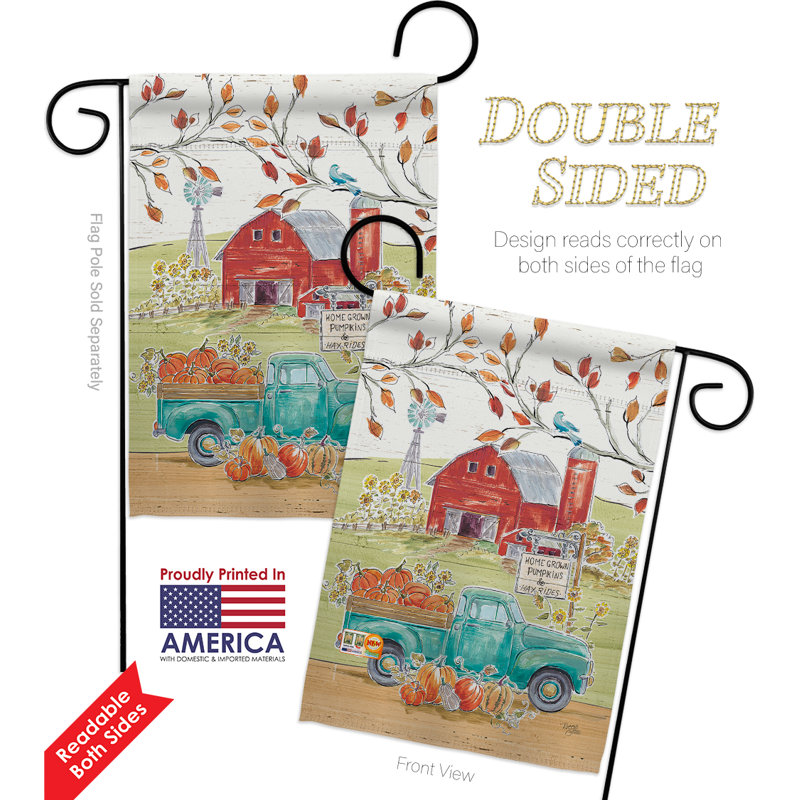 Double Sided 18.5'' H x 13'' W Polyester Flag Set