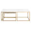 Carrera Nesting Coffee Table