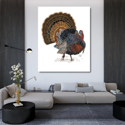 ArtDirect Wang, Melissa Gallery Wrapped Canvas Art Titled: Turkey Study I