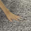 Saltash Solid Colour Area Rug-96158242