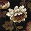 Tapis noir Karinthia