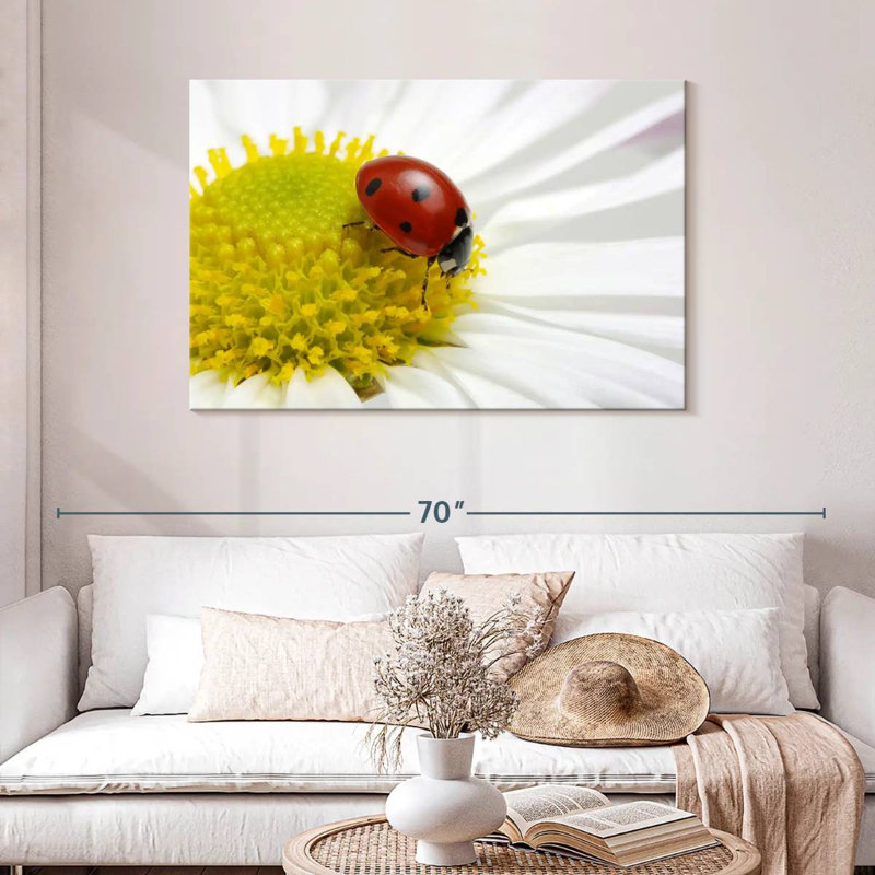 Coccinelle sur camomille, H 30 po x l 45 po
