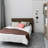 Loagan Up & Downlight