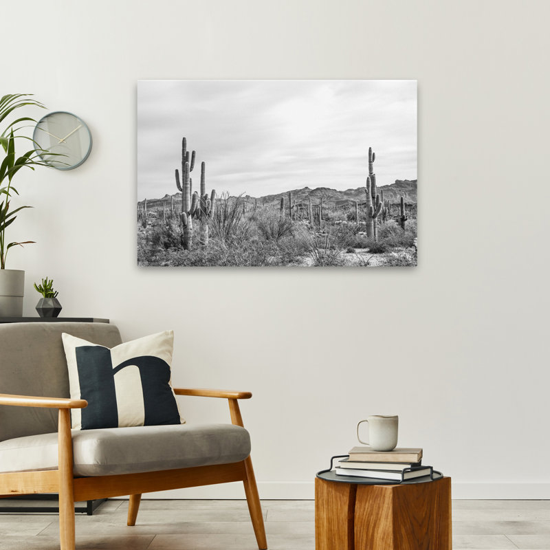 Jardin Sonoran Wonderland BW, H 36 po x l 24 po