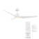 60" Stella 3 - Blade Outdoor/Indoor Smart Ceiling Fan with Remote Control Included, Works With Google Assistant, Amazon Alexa, Samsung Smart Things