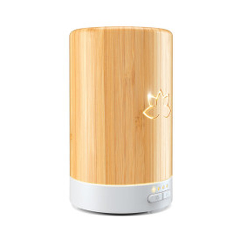 Aromatherapy Plug In