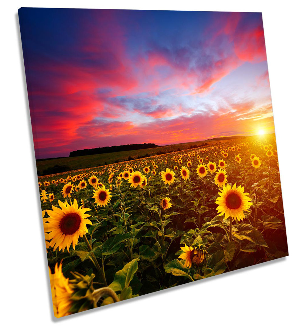 Sunflower Field Sunset - Wrapped Canvas Print