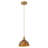 1-Dark brown glass iron dimmable pendant light